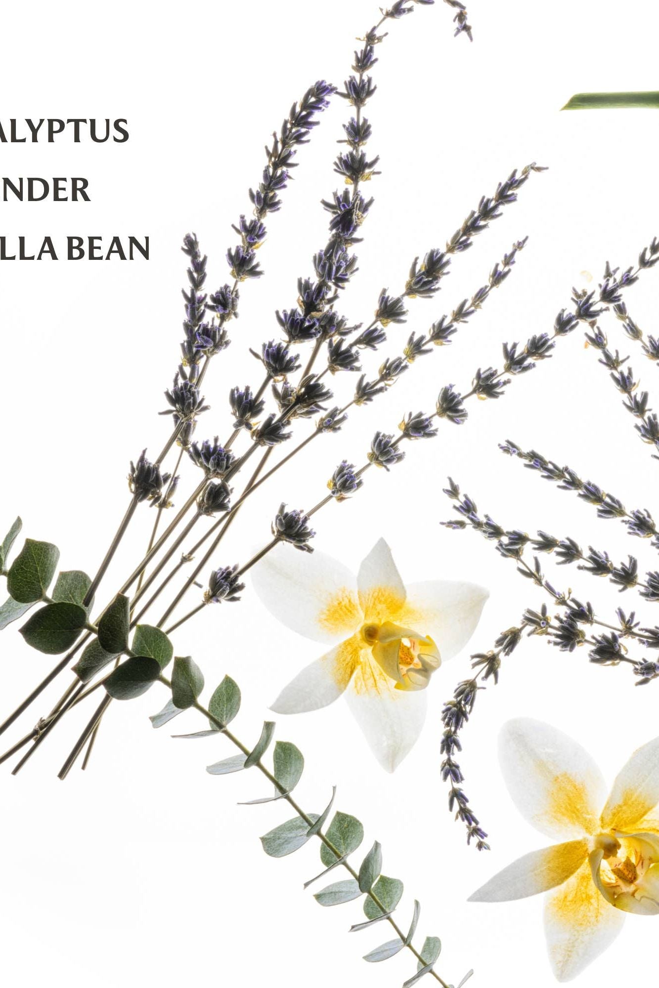 Pure Lavender Power Mist Hydrating Hand Sanitizer