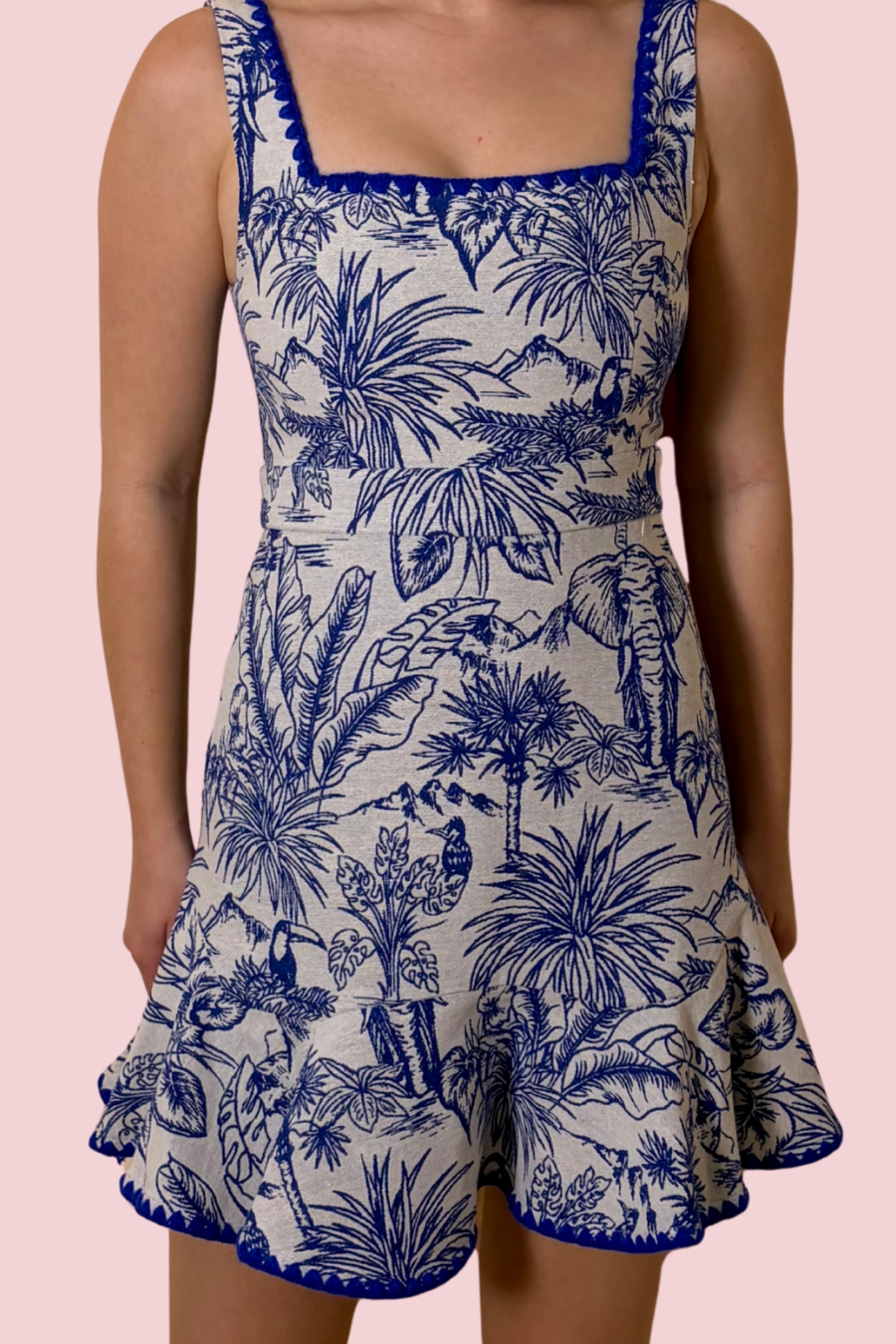 Ximena Blue & White Toile Print A-Line Mini Dress with Square Neck