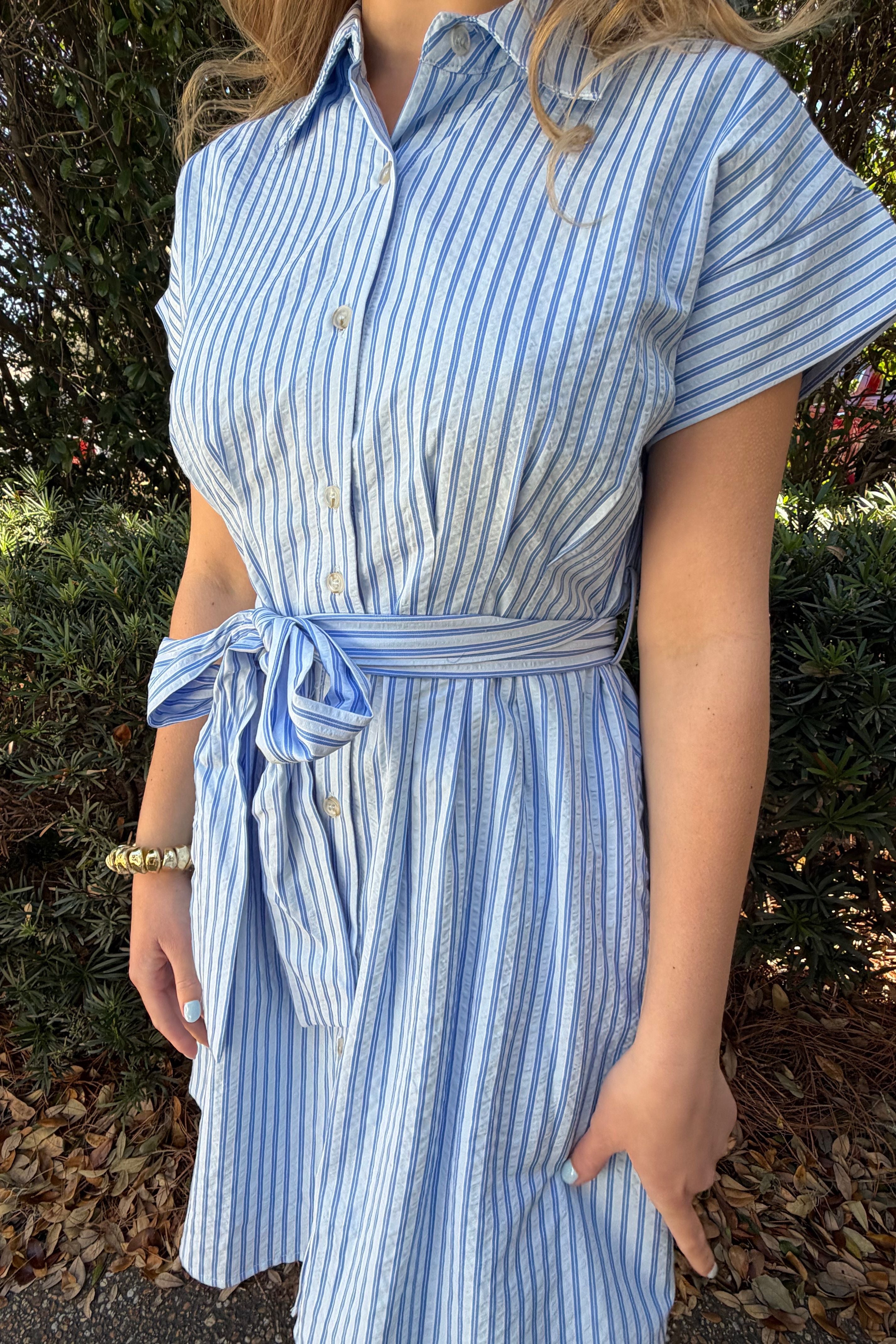 The Blue Skies Striped Dress