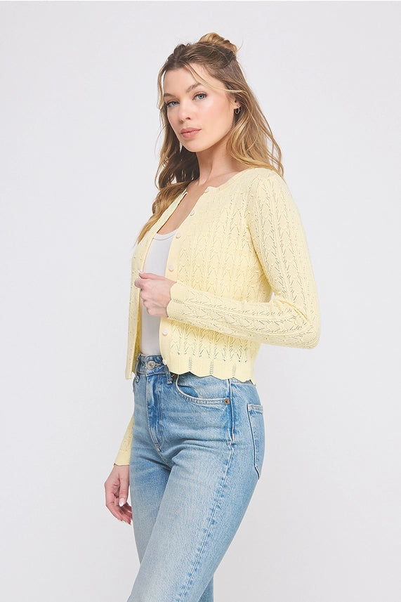 Soft Girl Pointelle Knit Cropped Cardigan with Scalloped Hem